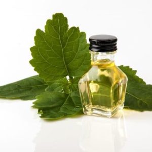 Patchouli Oil (Minyak Nilam)
