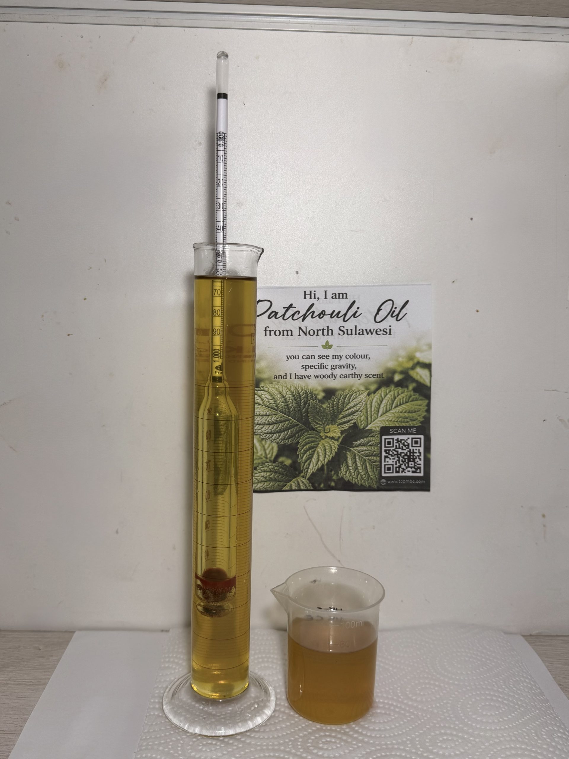 Patchouli Oil (Minyak Nilam) - Gambar 11
