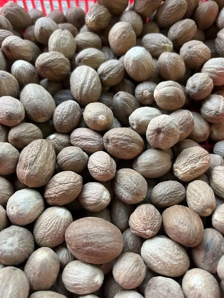 Nutmeg (Pala)