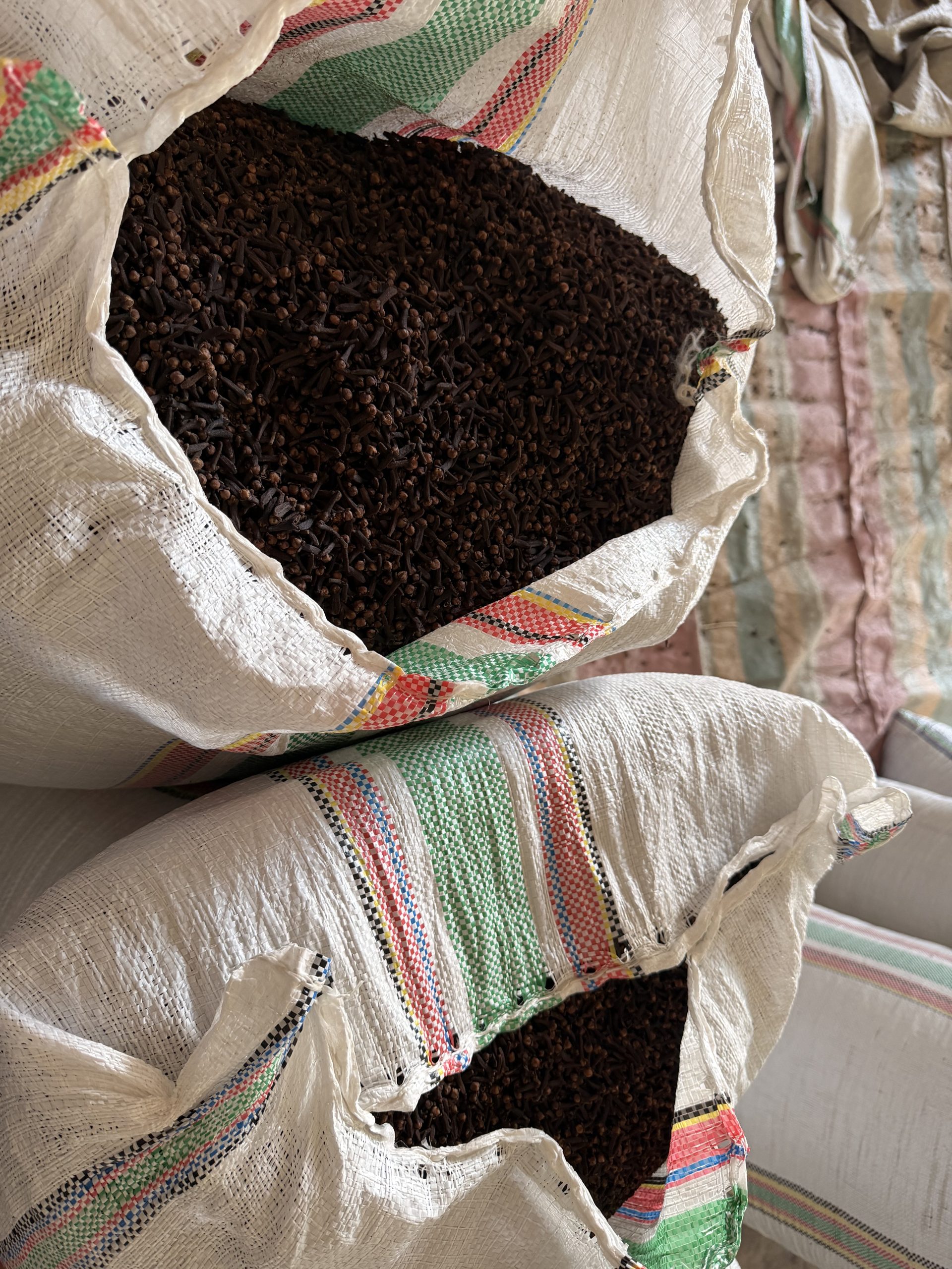Clove (Cengkeh) - Gambar 11